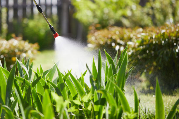 24/7 Emergency Ant Control experts in Romeoville, IL